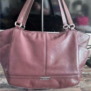 Coach Park Leather Carrie Tote